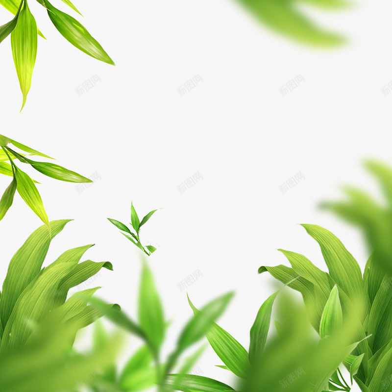 绿色高斯模糊植物茶叶png免抠素材_新图网 https://ixintu.com 植物 模糊 绿色 茶叶