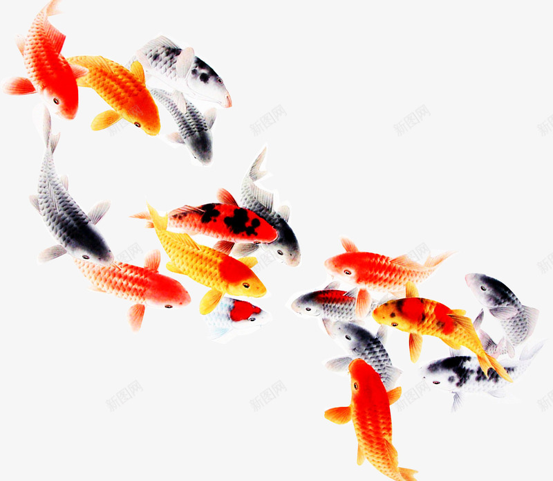 鱼png免抠素材_新图网 https://ixintu.com 小鱼 水墨画 鱼 鱼群