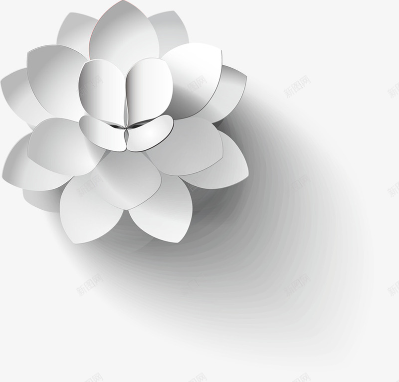 黑白手绘花朵淡雅png免抠素材_新图网 https://ixintu.com 淡雅 花朵 黑白