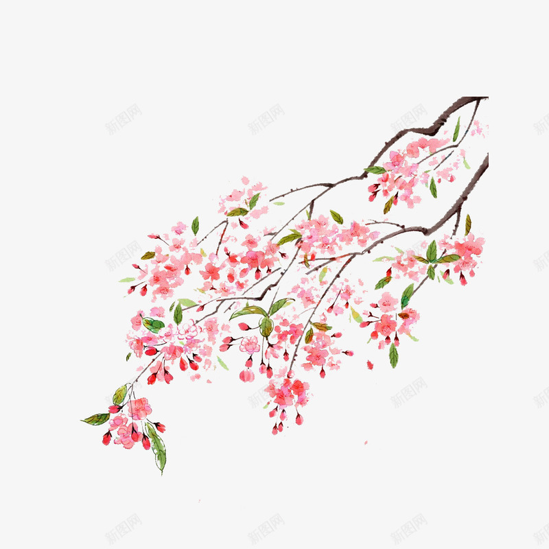 树枝装饰png免抠素材_新图网 https://ixintu.com 数字 矢量装饰 粉色的花 花 花朵 装饰