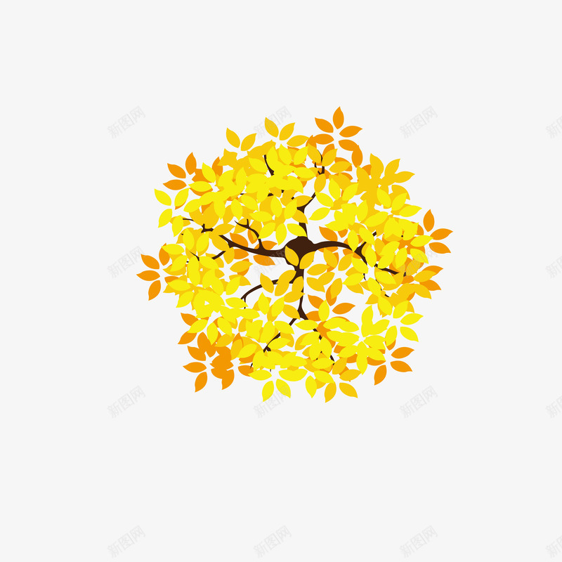 俯视金黄的树叶png免抠素材_新图网 https://ixintu.com 俯视 俯视树木 树俯视 树顶 樟树皮油 海报设计 金黄的树叶 香樟树