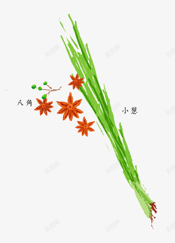 八角与小葱png免抠素材_新图网 https://ixintu.com 八角 绿色 葱 调味料 配料 食材 餐饮美食
