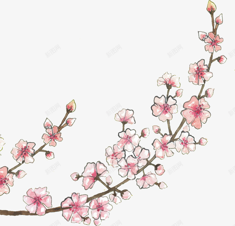 手绘粉红樱花树枝矢量图ai免抠素材_新图网 https://ixintu.com 手绘樱花 樱花 樱花树枝 矢量png 粉红樱花 粉红色 矢量图