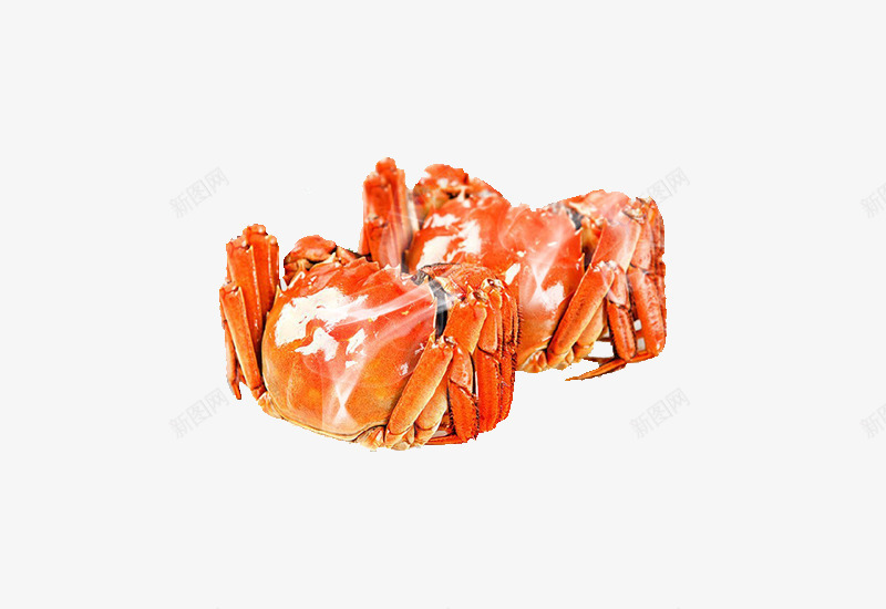 大闸蟹美食食物png免抠素材_新图网 https://ixintu.com 免抠 海鲜螃蟹 美味食品 美食餐饮 螃蟹壳 蟹壳 香辣蟹