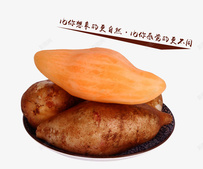 雪莲果水果png免抠素材_新图网 https://ixintu.com 云南天山雪莲果 多汁 果实粘稠 爽口 雪莲果