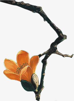 木棉花png免抠素材_新图网 https://ixintu.com 木棉花 木棉花树 树枝 花