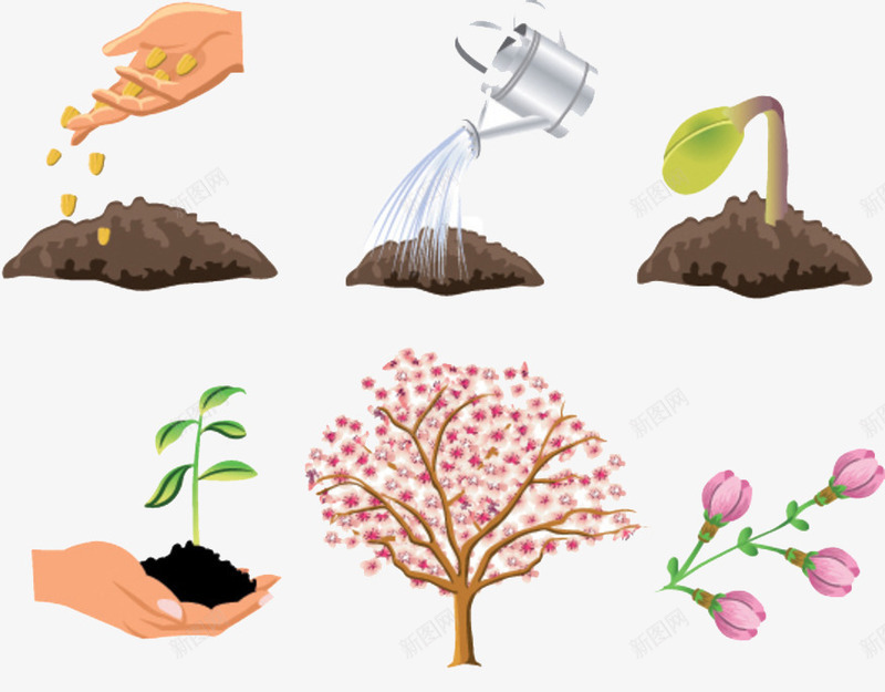 卡通植物png免抠素材_新图网 https://ixintu.com 保护 广告设计 植物 环境 花草 行动 设计