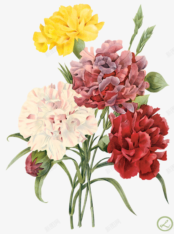 花草线描植物花草图标png_新图网 https://ixintu.com 创意花草图片 卡通 手绘装饰素材 花卉图案 装饰图标