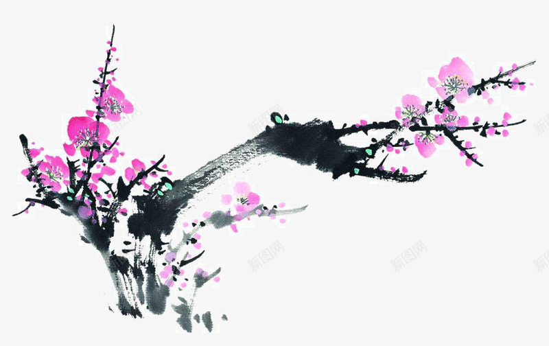 一枝梅手绘png免抠素材_新图网 https://ixintu.com 国画写生小品 国画花卉 宣纸花草 彩墨国画花草 手绘国画 手绘花草 装饰植物手绘