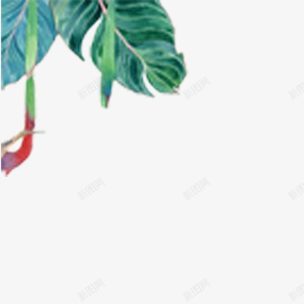 热带雨林水墨画插图边框png免抠素材_新图网 https://ixintu.com 二十四节气 手绘 春季 清新 热带雨林 绿叶 踏青 郊游