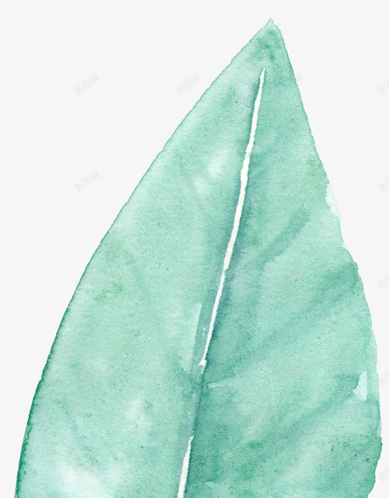 手绘薄荷绿叶psd免抠素材_新图网 https://ixintu.com 化妆品元素 卡片设计元素 夏天 手绘 手绘植物 水彩 清爽 薄荷
