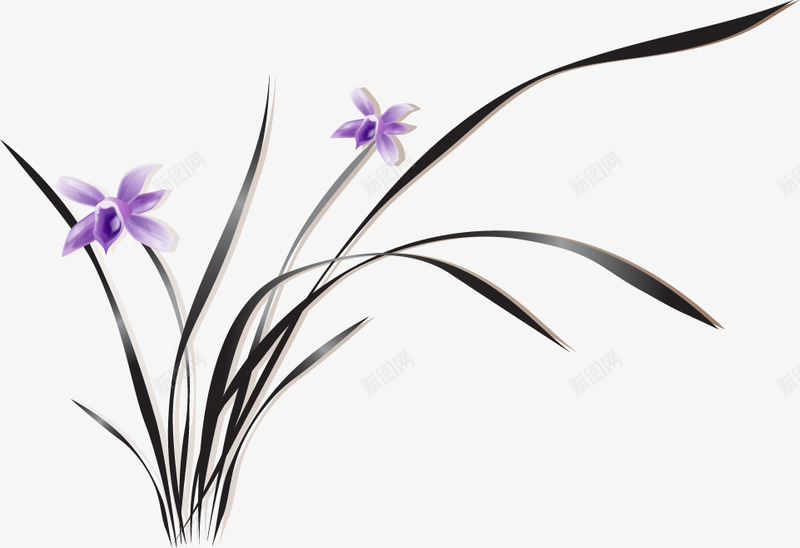 手绘兰花草png免抠素材_新图网 https://ixintu.com 兰花草 手绘 手绘兰花草 素雅