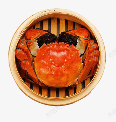 蒸笼里的大闸蟹png免抠素材_新图网 https://ixintu.com png图片素材 产品实物 免费png元素 免费png素材 冷冻 海鲜 生鲜食品 绿色食品 蒸笼里的大闸蟹 螃蟹