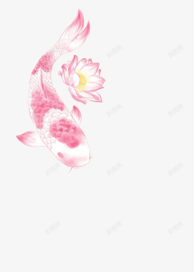 蓝花和鱼png免抠素材_新图网 https://ixintu.com 免费下载 卡通 古风 好运锦鲤 彩绘 手绘 电商装饰 白色 莲花 装饰 锦鲤 鱼 鲤鱼粉色
