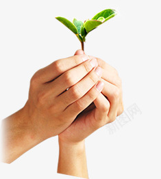 手拿小草png免抠素材_新图网 https://ixintu.com 小草 小草叮咛 手 爱护花草