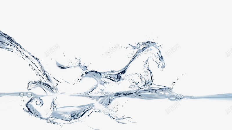 水中奔跑的马psd免抠素材_新图网 https://ixintu.com 弹开的水珠 水中奔跑的马 水弹 水流 水浪 水花 浪花
