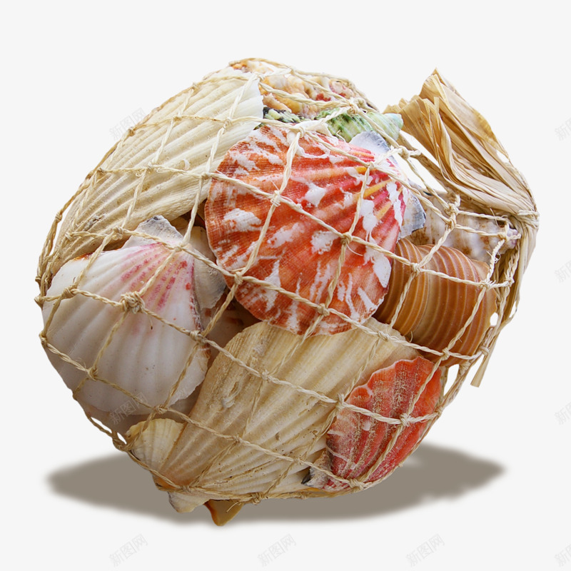 贝壳海鲜png免抠素材_新图网 https://ixintu.com PNG 实拍 海鲜 海鲜素材 贝壳 贝类
