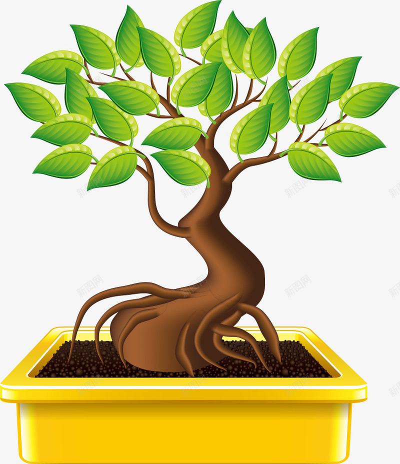 盆栽小树png免抠素材_新图网 https://ixintu.com 创意盆栽 树 树木 树林 植物 盆栽 绿植 花草树 花草树木