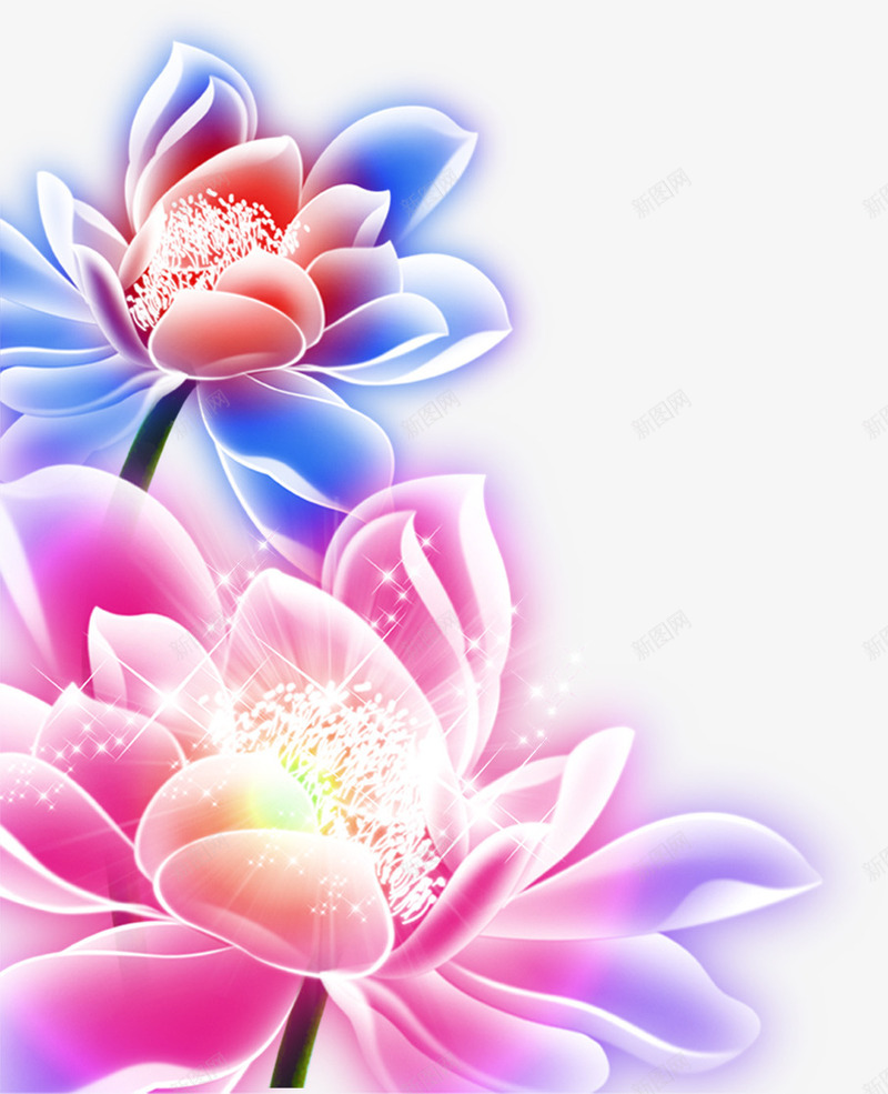 紫色荷花png免抠素材_新图网 https://ixintu.com 水彩 紫色 荧光 荷花