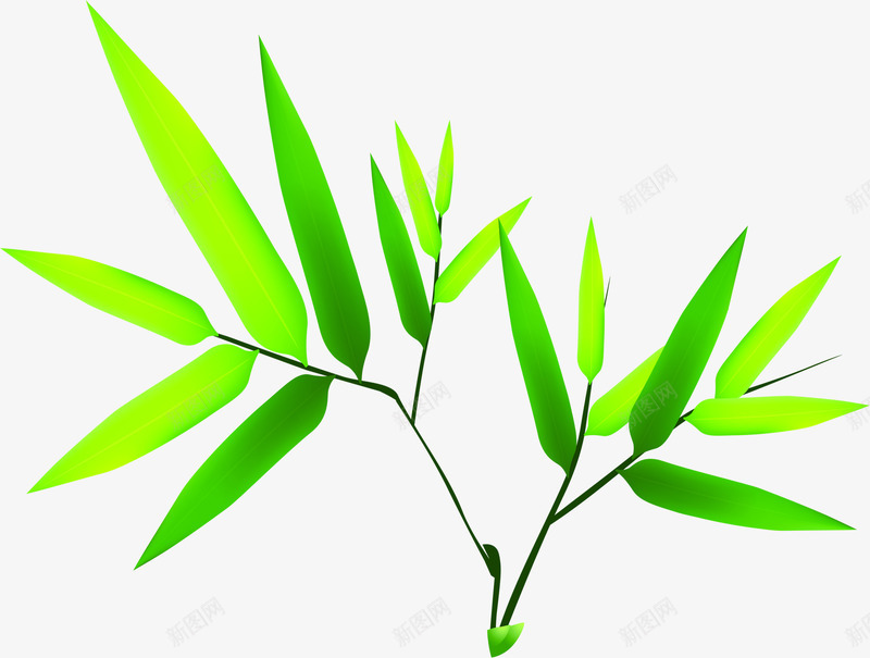绿色清新竹叶艾草png免抠素材_新图网 https://ixintu.com 清新 竹叶 绿色