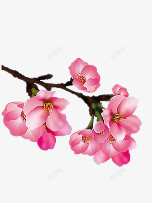 桃花春色png免抠素材_新图网 https://ixintu.com png图片 下载图片 好看的桃花 漂亮的桃花