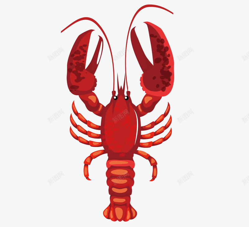 红色的小龙虾插画png免抠素材_新图网 https://ixintu.com 小龙虾 手绘插画 插画 红色的