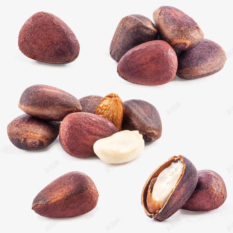 干果零食png免抠素材_新图网 https://ixintu.com 卡通坚果 坚果图片 坚果手绘图 干果 手绘 手绘坚果