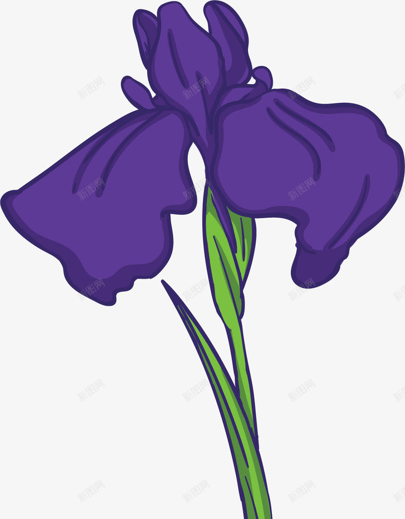 根茎卡通鸢尾花矢量图ai免抠素材_新图网 https://ixintu.com 卡通鸢尾花 根茎 矢量鸢尾花 美丽花朵 花朵 鸢尾花 矢量图