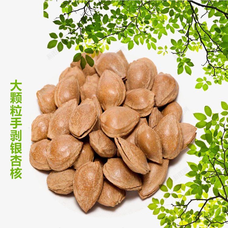 带壳的杏仁叶子背景png免抠素材_新图网 https://ixintu.com 中药 坚果 杏仁 美食 药材
