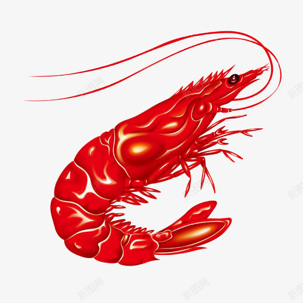 美味的大虾卡通图png免抠素材_新图网 https://ixintu.com 卡通 海鲜 简图 红色大虾 美味的 胡须 虾肉