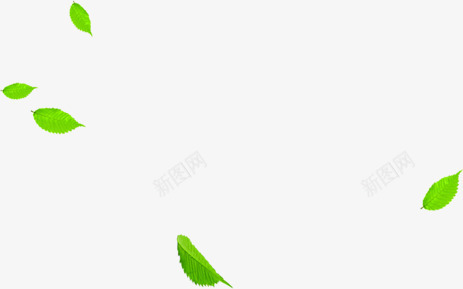 绿色卡通漂浮树叶春天季节png免抠素材_新图网 https://ixintu.com 卡通 季节 春天 树叶 漂浮 绿色 设计