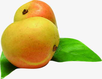 生鲜芒果蔬菜水果png免抠素材_新图网 https://ixintu.com 水果 生鲜 芒果 蔬菜