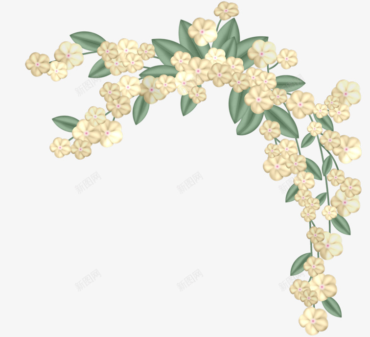 米色花png免抠素材_新图网 https://ixintu.com 好看 米色 花