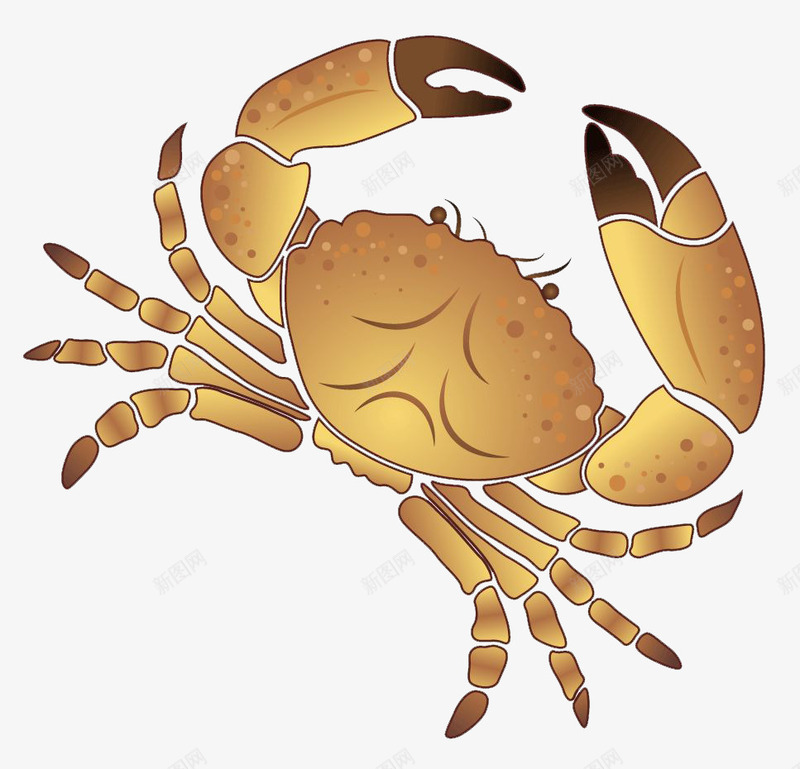 手绘海蟹png免抠素材_新图网 https://ixintu.com 卡通海蟹 卡通蟹 大海蟹 手绘海蟹 海蟹 螃蟹 蟹