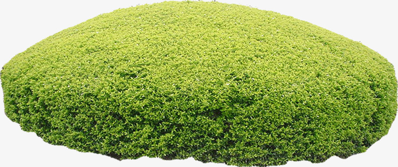 花圃花坛园艺png免抠素材_新图网 https://ixintu.com 园艺 圆形花坛 绿化 自然 花草
