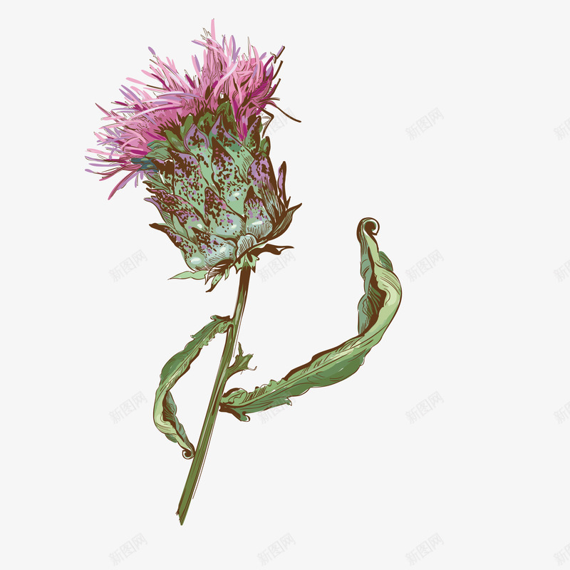 卡通小清新花草装饰广告png免抠素材_新图网 https://ixintu.com PPT制作设计 包装设计 唯美文艺花草插画 小清新花朵插画 花朵装饰 花草装饰