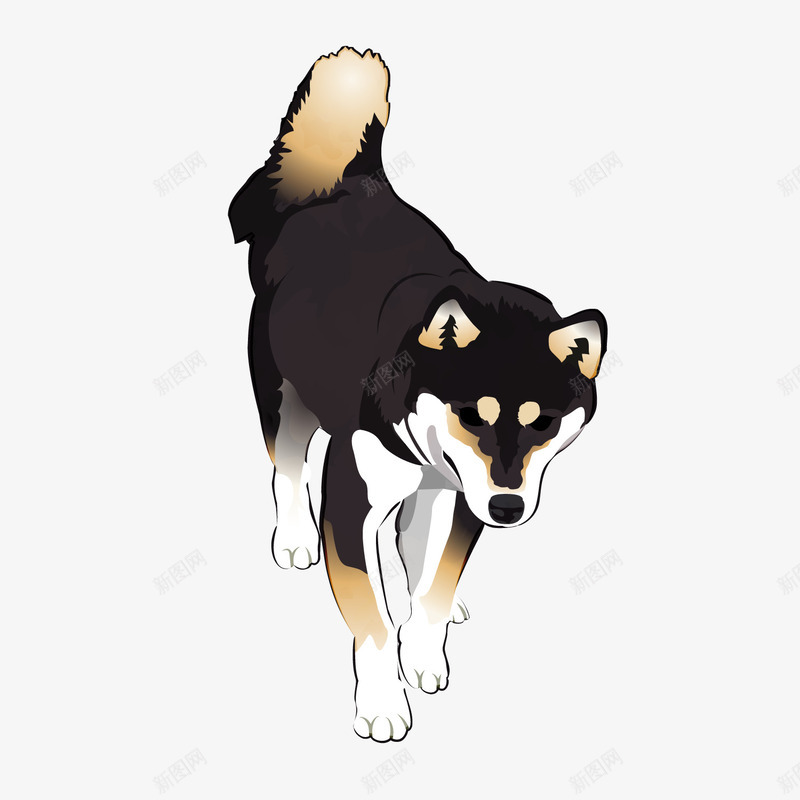 黑色柴犬宠物狗png免抠素材_新图网 https://ixintu.com 卡通动物 卡通小狗 宠物狗 柴犬 背景装饰 黑色小狗