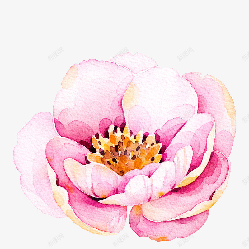 水彩手绘粉色好看的花png免抠素材_新图网 https://ixintu.com 手绘花儿 水彩手绘粉色好看的花 水彩手绘花儿 粉色