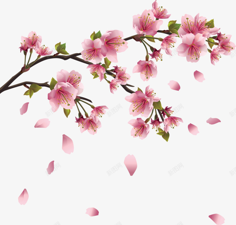 国画花卉ps花卉png免抠素材_新图网 https://ixintu.com ps花草素材 创意花草图片 卡通装饰素材 唯美花卉 唯美花卉图片 手绘花草素材 花卉画