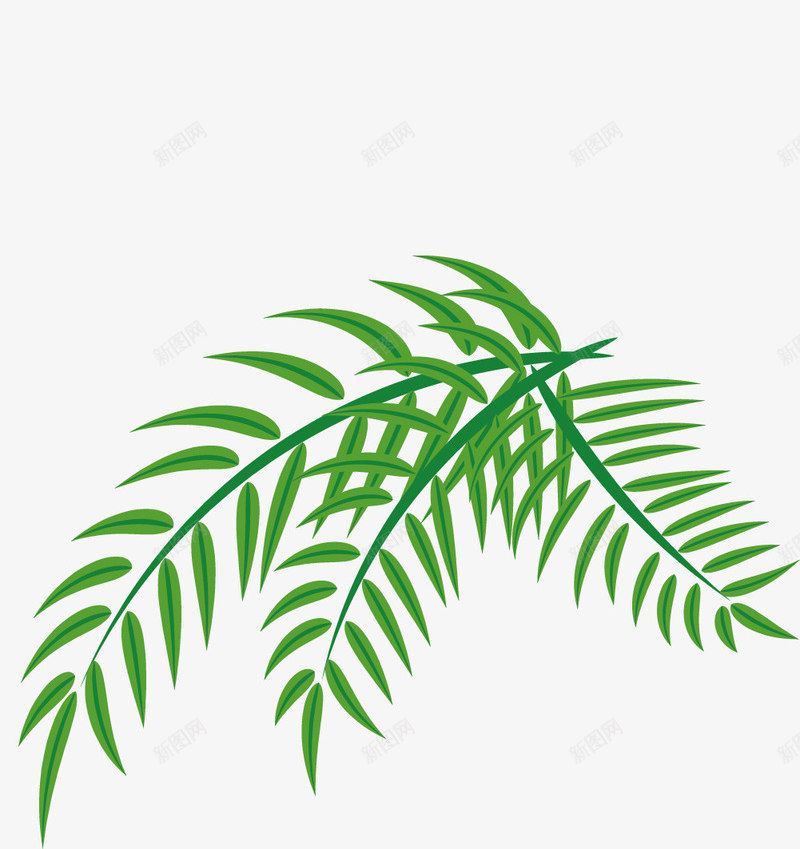 针叶阔叶槟榔png免抠素材_新图网 https://ixintu.com 树 树木 植物 槟榔 槟榔树 物种 绿色植物