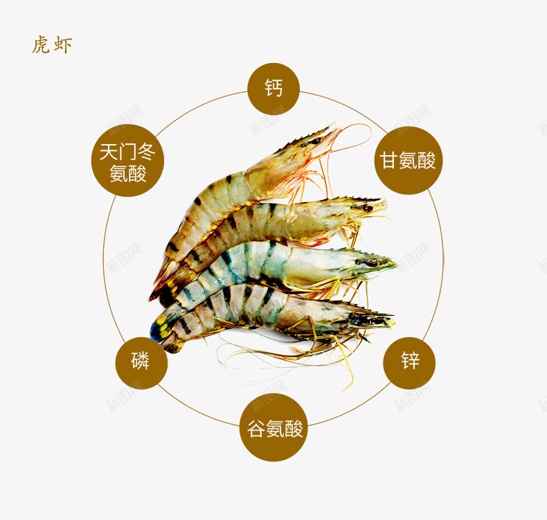 虎虾psd免抠素材_新图网 https://ixintu.com 产品实物 大虎虾 水产品 海鲜 虾子