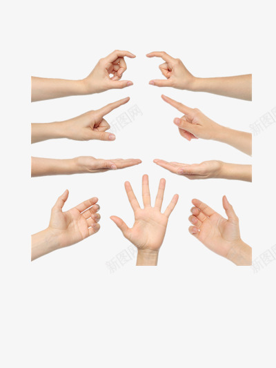 手png免抠素材_新图网 https://ixintu.com 左右手 手势 手指 手语