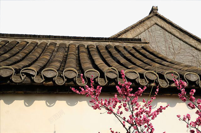 一枝红杏出墙来屋檐角png免抠素材_新图网 https://ixintu.com 中国风 好看 屋檐角 檐角 红杏 装饰 角度 边角 魅力