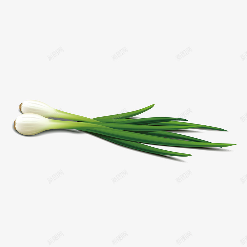 新鲜绿色小葱png免抠素材_新图网 https://ixintu.com 民以食为天 素材 绿色 食材