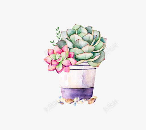 小清新插画广告卡通多肉盆栽png免抠素材_新图网 https://ixintu.com 卡通手绘装饰插画 多肉小清新插画 多肉植物 多肉植物促销宣传设计 广告设计 简约大气插画 绿色盆栽
