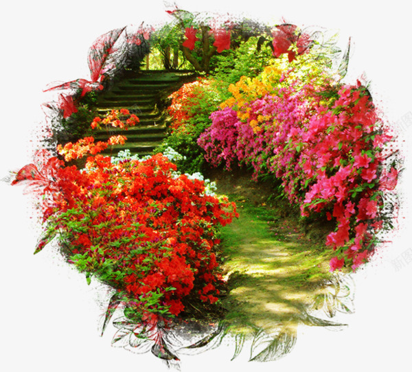 鲜花花草花草图案png免抠素材_新图网 https://ixintu.com 线描花卉 绿植花草 花卉素材 花卉线描 花草图案素材 花草图片素材