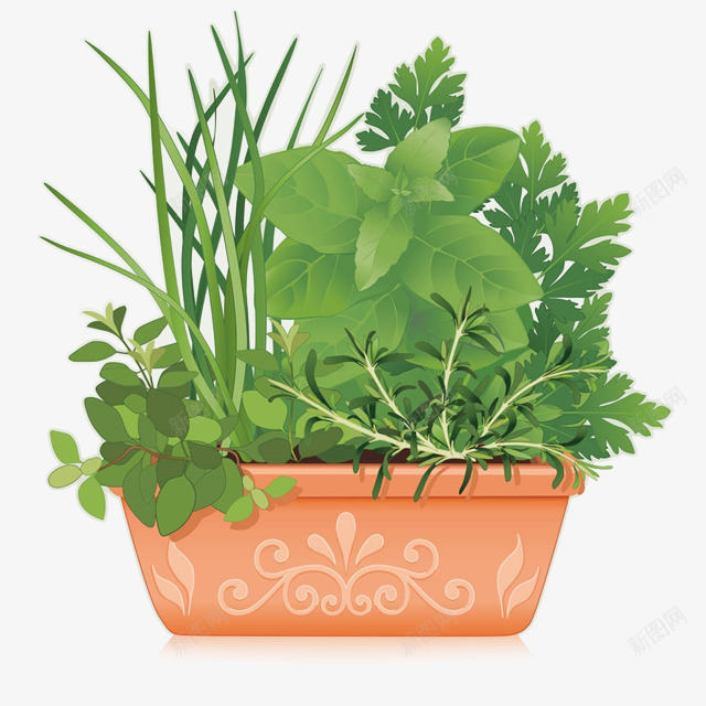 手绘绿色清新迷迭香薄荷盆栽插画png免抠素材_新图网 https://ixintu.com 小葱 手绘 手绘绿色清新迷迭香薄荷盆栽插画免抠免费下载 手绘迷迭香 插画 花盆 薄荷 调料 迷迭香 食物