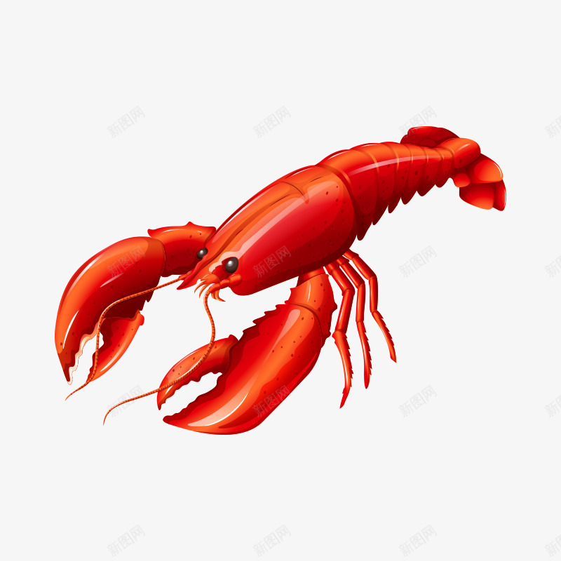 海鲜水产png免抠素材_新图网 https://ixintu.com 水产 海鲜 美食 虾 虾类 食物 龙虾