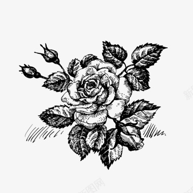 手绘花草复古玫瑰图标图标
