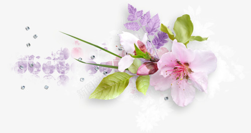 水彩花草手绘装饰png免抠素材_新图网 https://ixintu.com ps花草素材 线描花卉 绿植花卉 花卉画 花卉线描